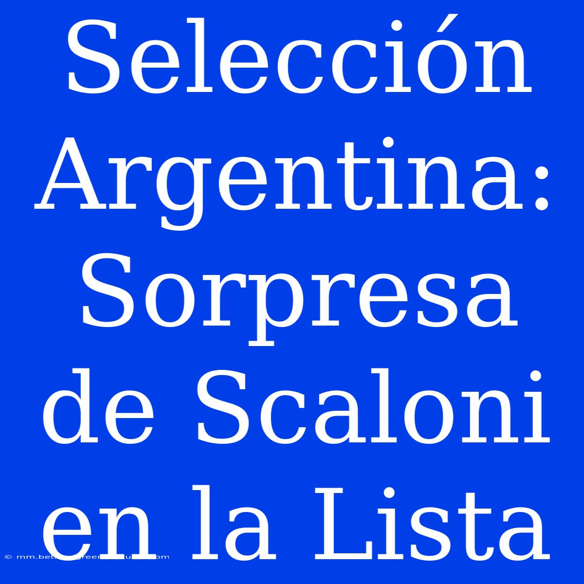 Selección Argentina: Sorpresa De Scaloni En La Lista