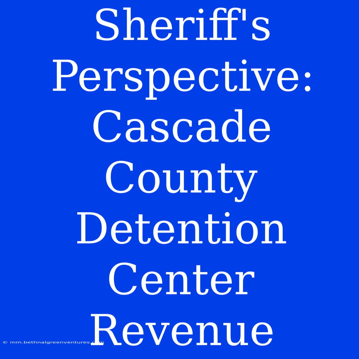 Sheriff's Perspective: Cascade County Detention Center Revenue