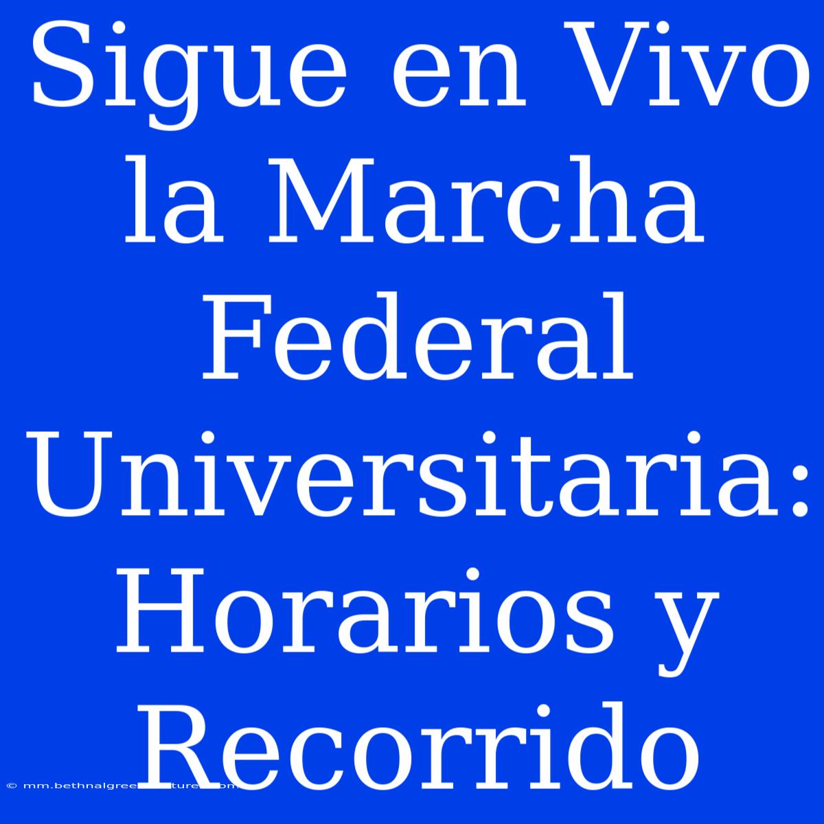 Sigue En Vivo La Marcha Federal Universitaria: Horarios Y Recorrido