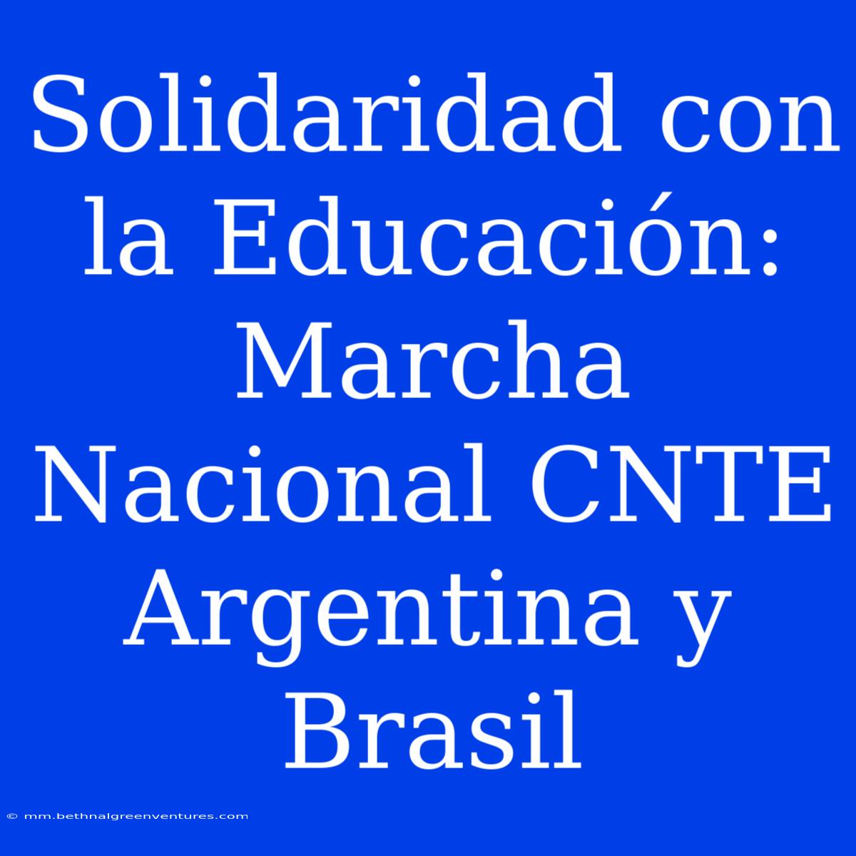 Solidaridad Con La Educación: Marcha Nacional CNTE Argentina Y Brasil