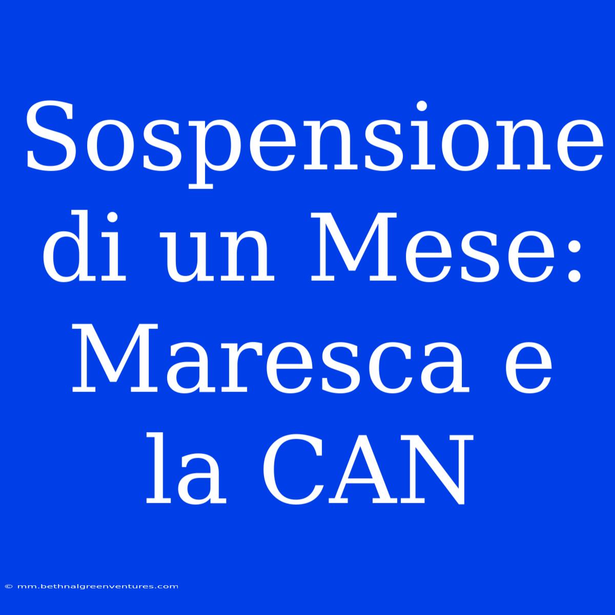 Sospensione Di Un Mese: Maresca E La CAN