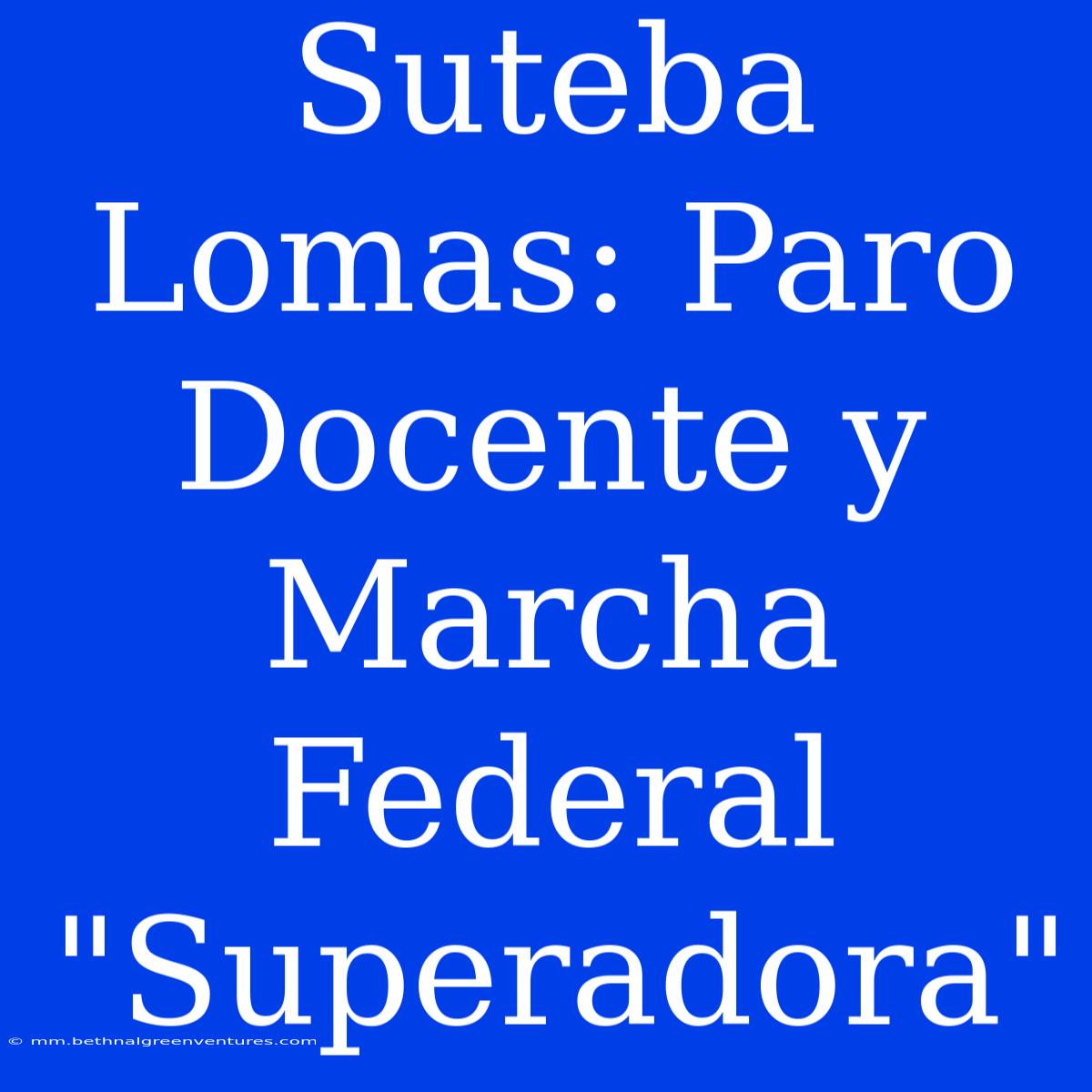 Suteba Lomas: Paro Docente Y Marcha Federal 