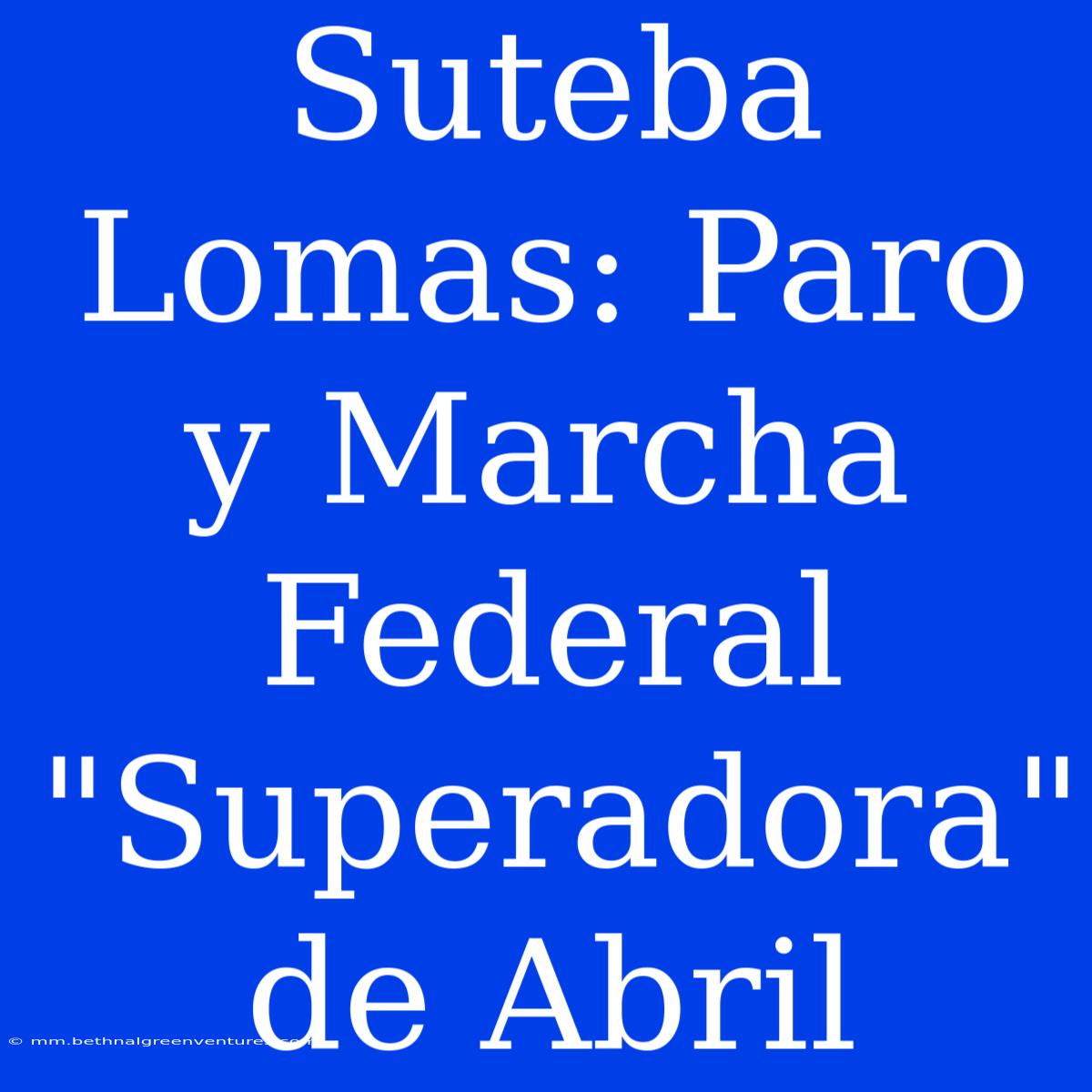 Suteba Lomas: Paro Y Marcha Federal 