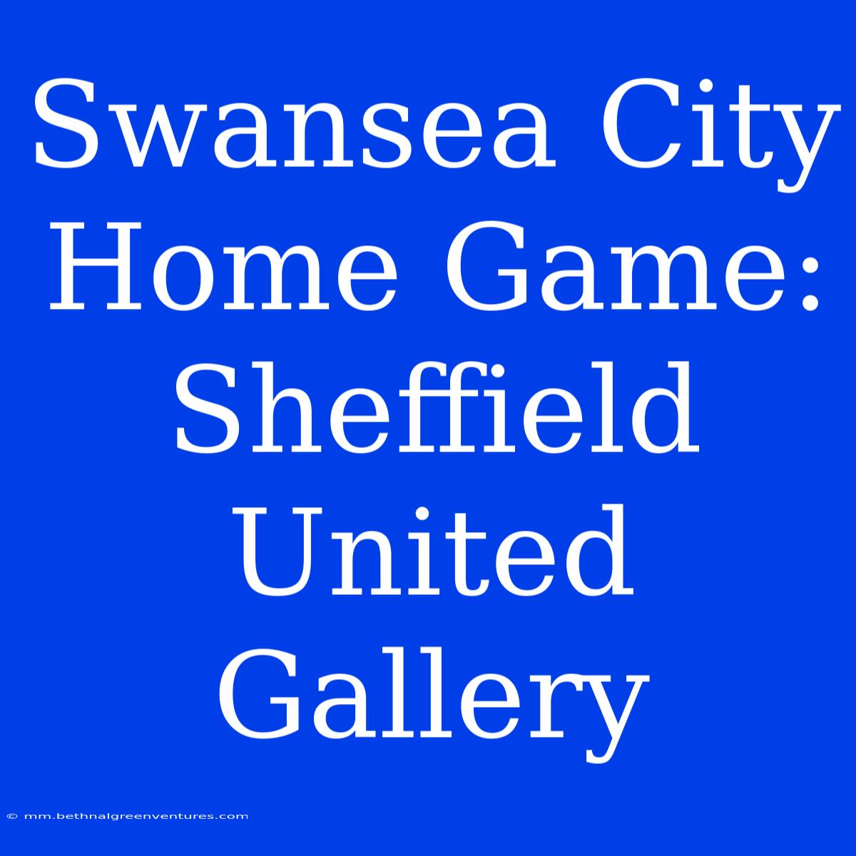 Swansea City Home Game: Sheffield United Gallery