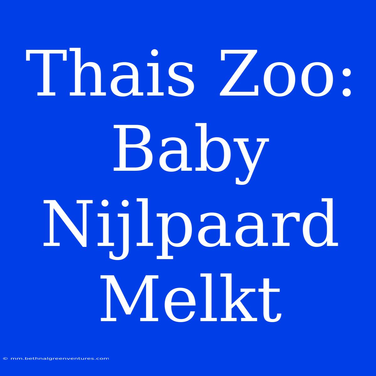 Thais Zoo: Baby Nijlpaard Melkt