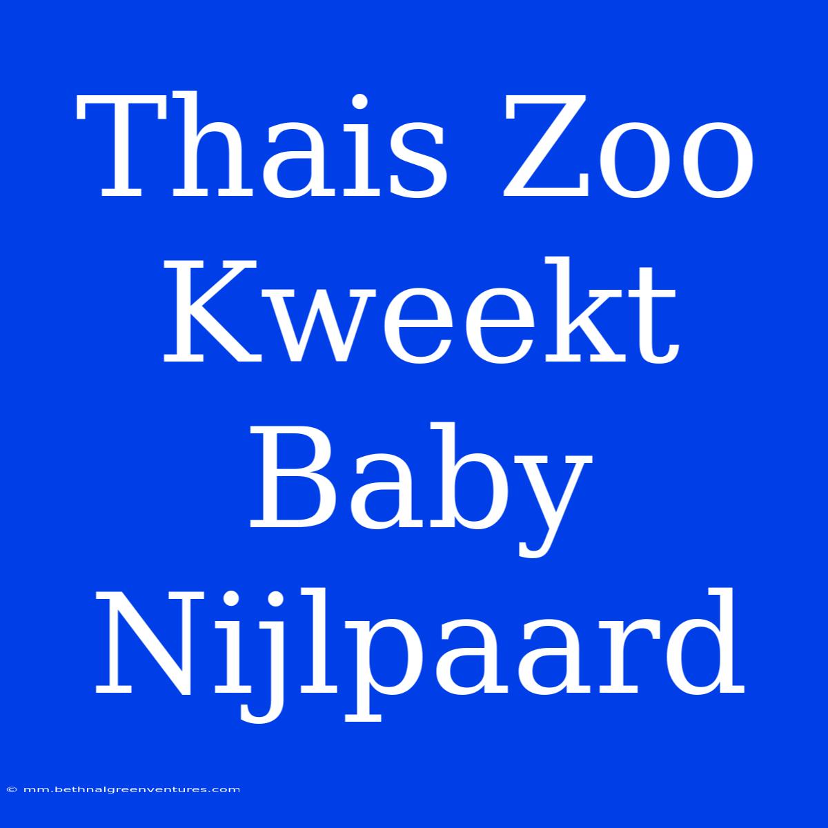 Thais Zoo Kweekt Baby Nijlpaard