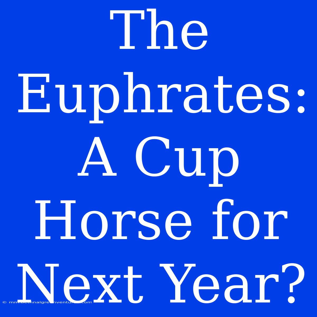 The Euphrates: A Cup Horse For Next Year?