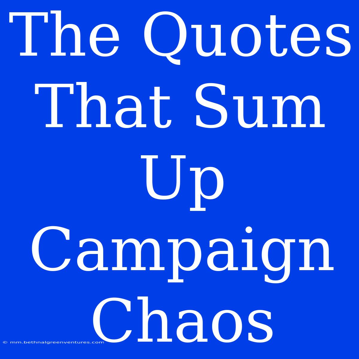 The Quotes That Sum Up Campaign Chaos