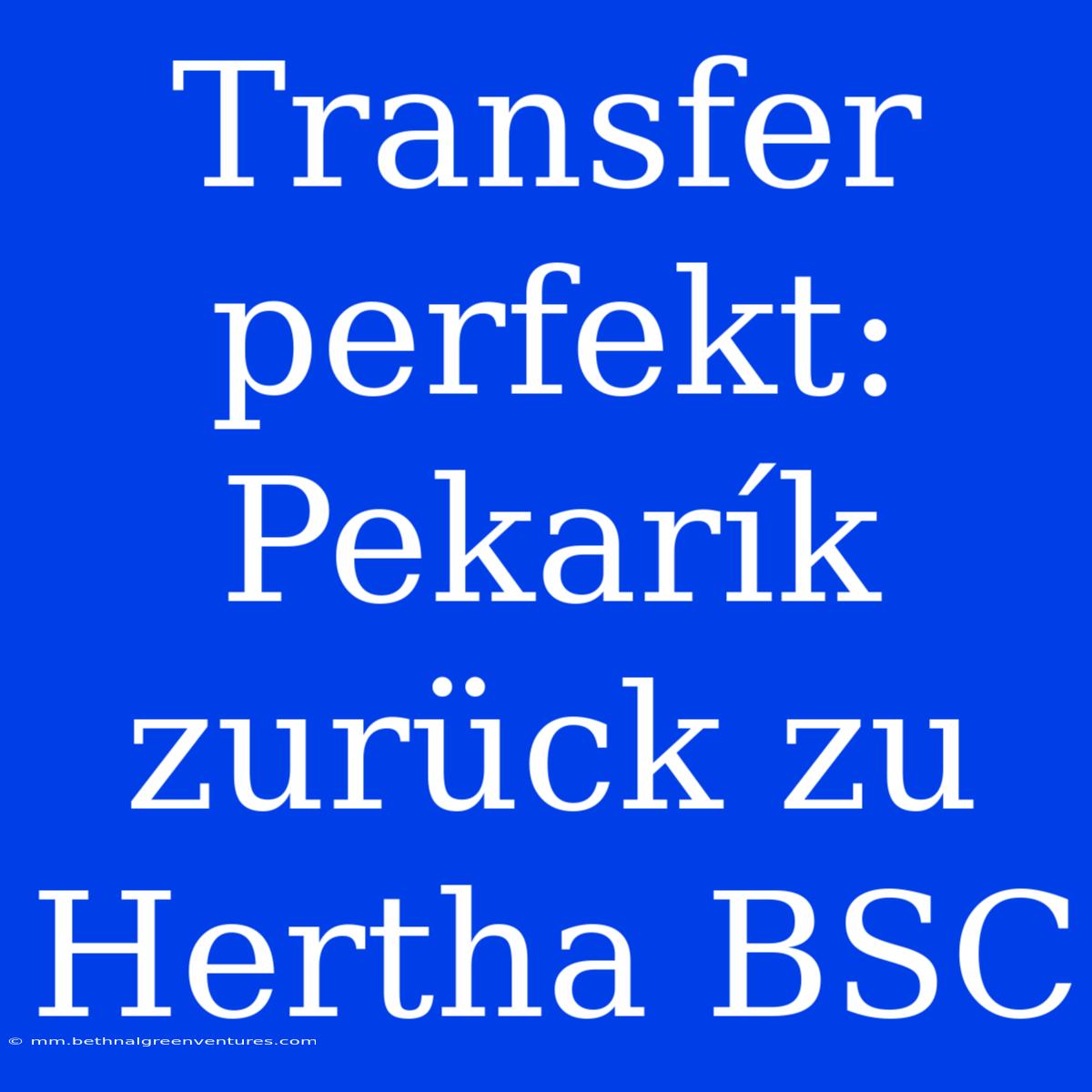 Transfer Perfekt: Pekarík Zurück Zu Hertha BSC