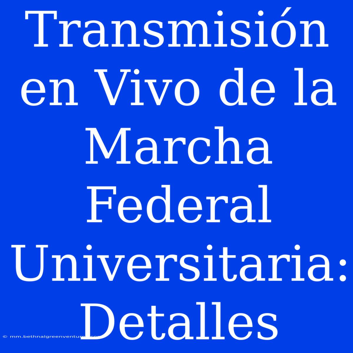 Transmisión En Vivo De La Marcha Federal Universitaria:  Detalles