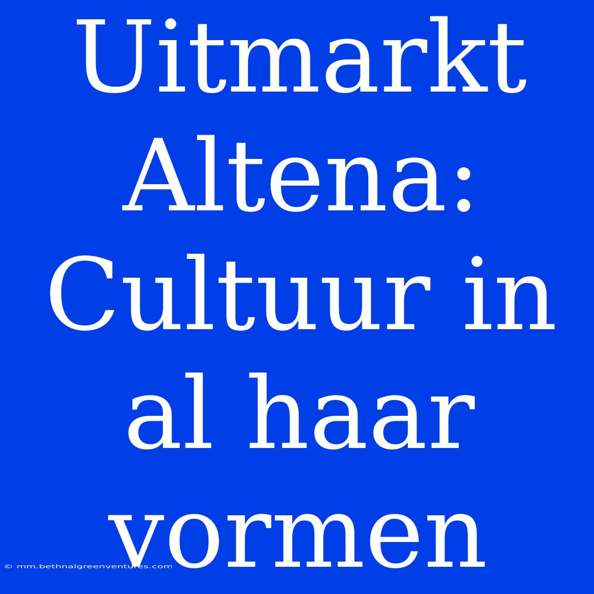 Uitmarkt Altena: Cultuur In Al Haar Vormen