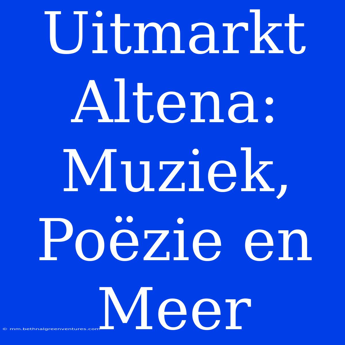 Uitmarkt Altena: Muziek, Poëzie En Meer