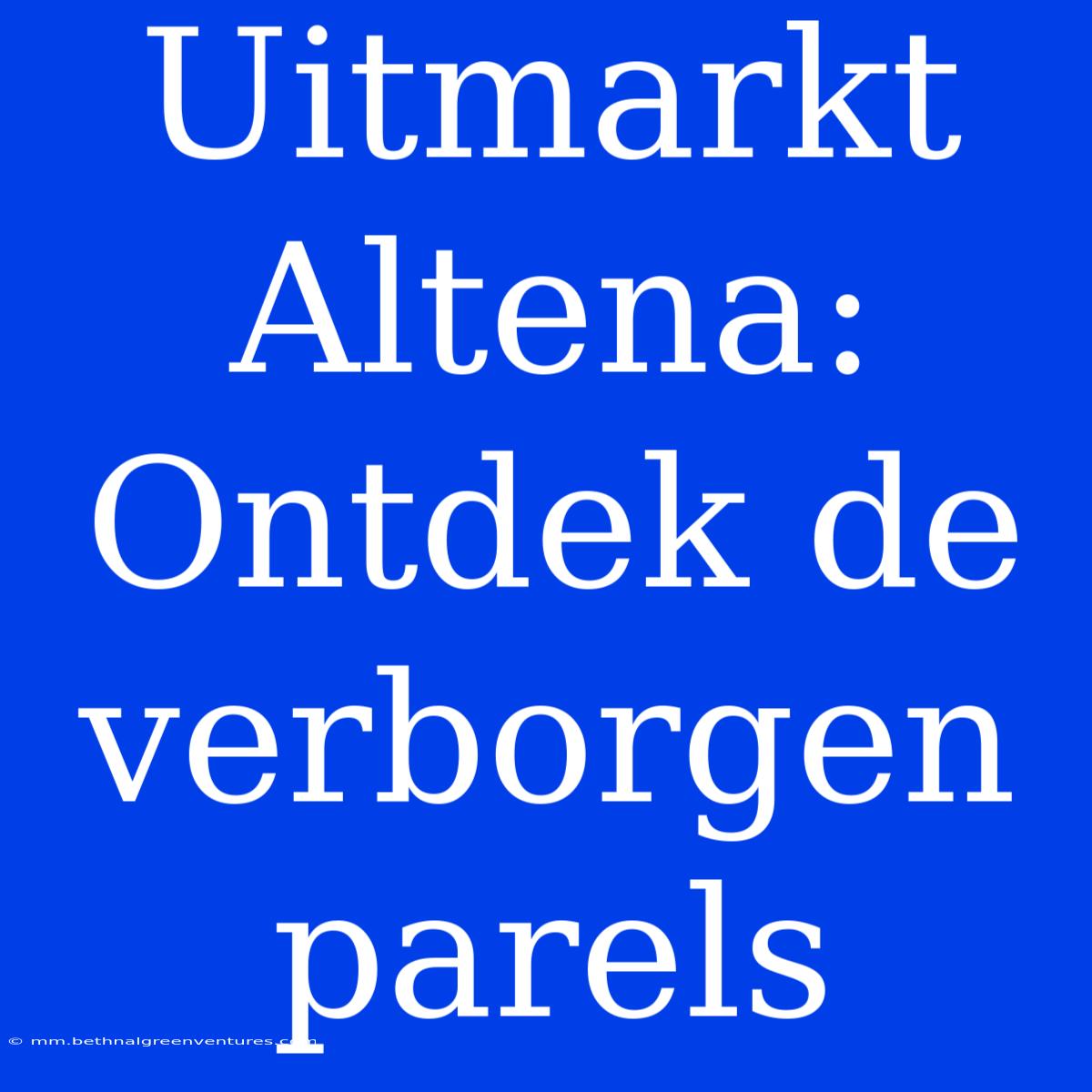 Uitmarkt Altena: Ontdek De Verborgen Parels 