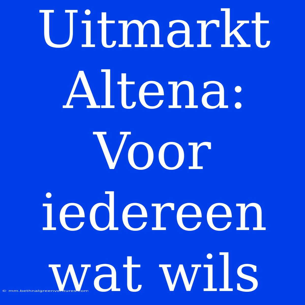 Uitmarkt Altena:  Voor Iedereen Wat Wils 