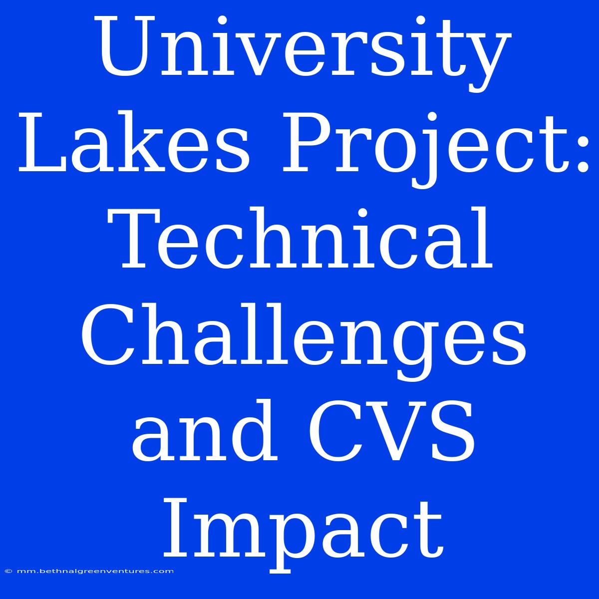 University Lakes Project: Technical Challenges And CVS Impact