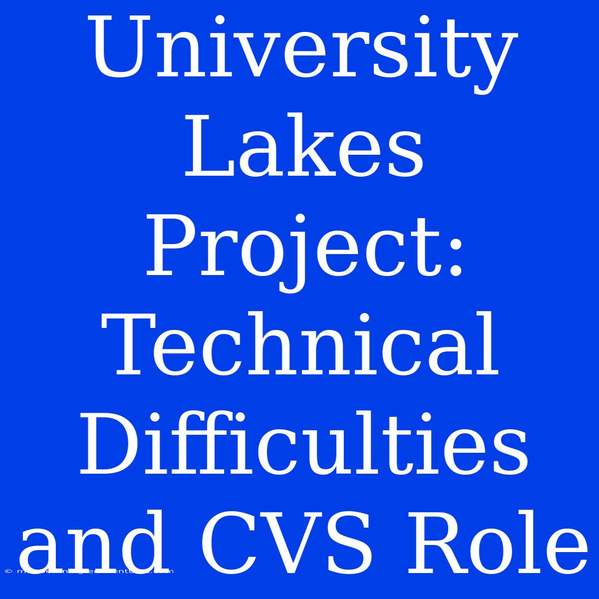 University Lakes Project: Technical Difficulties And CVS Role