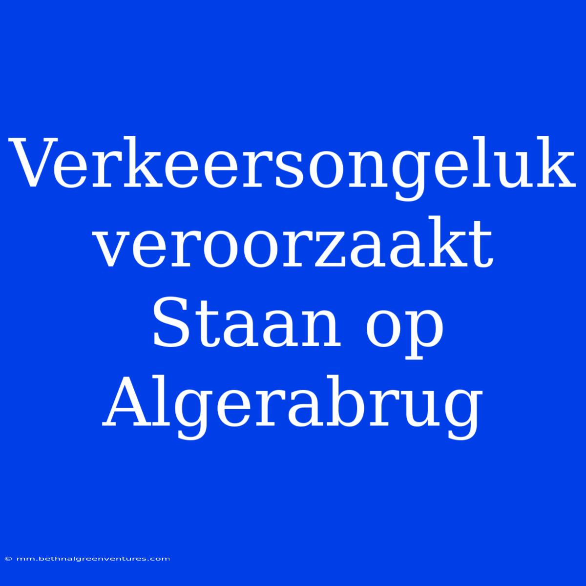 Verkeersongeluk Veroorzaakt Staan Op Algerabrug