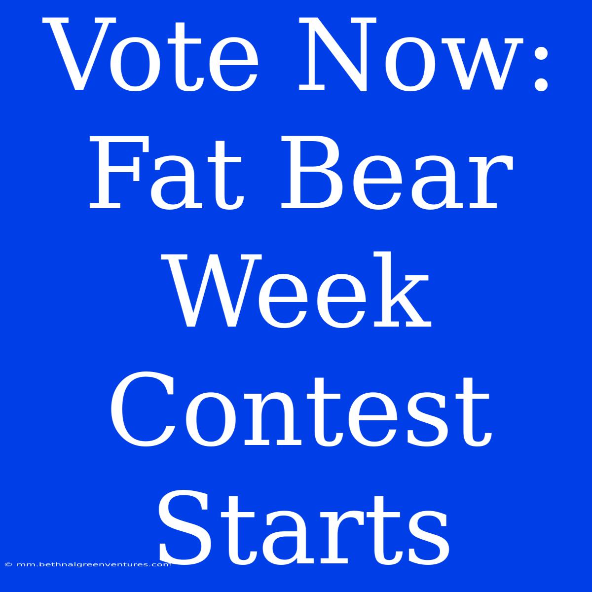 Vote Now: Fat Bear Week Contest Starts