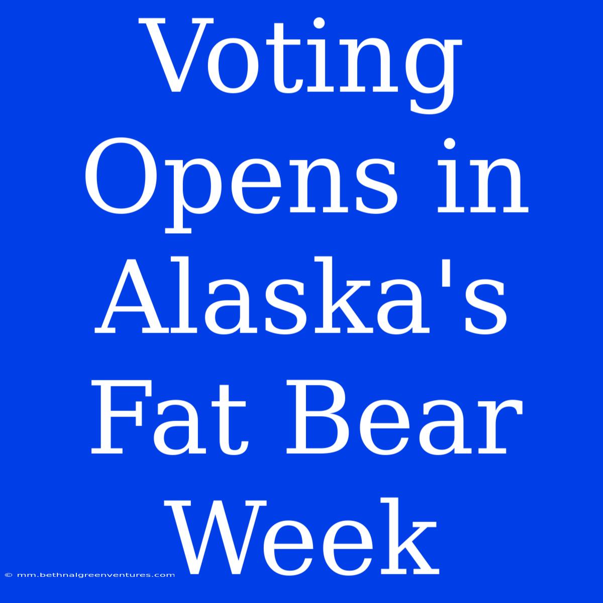 Voting Opens In Alaska's Fat Bear Week