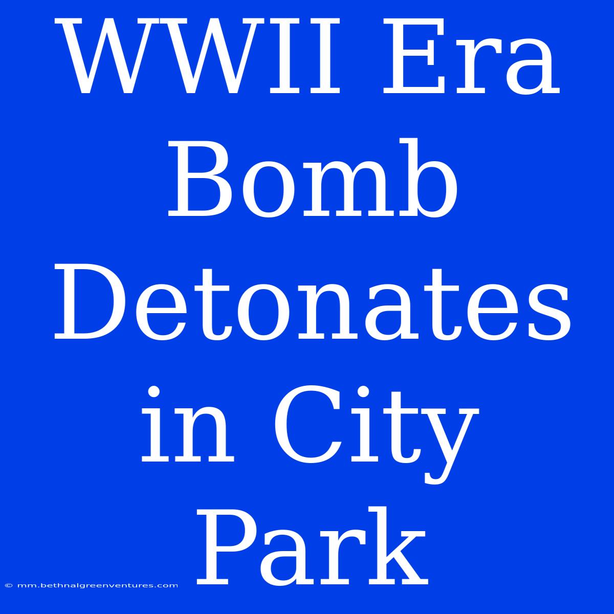 WWII Era Bomb Detonates In City Park