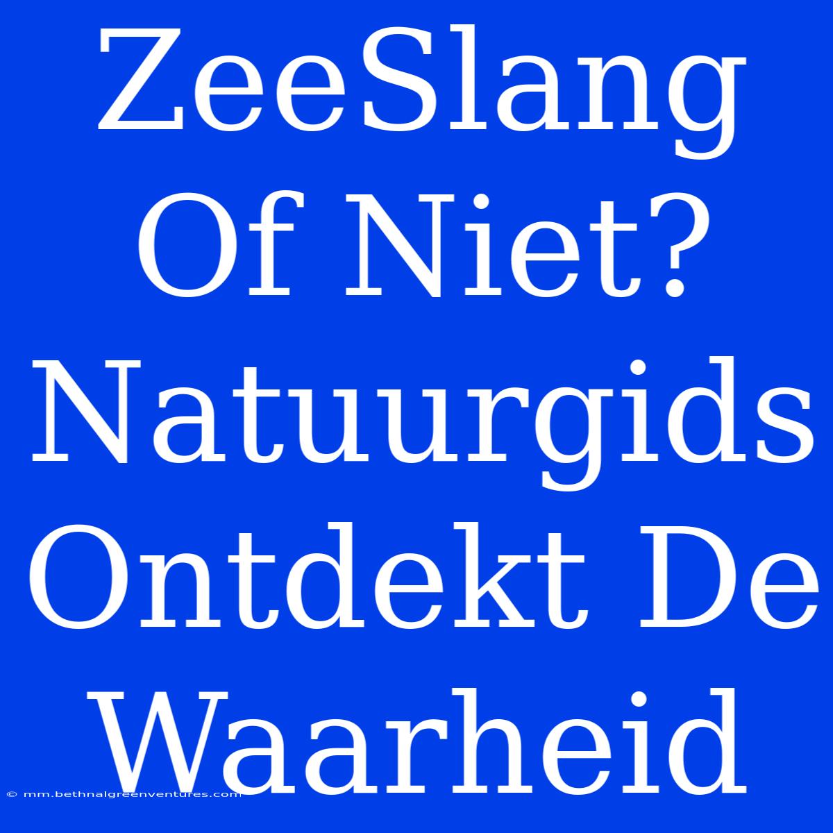 ZeeSlang Of Niet? Natuurgids Ontdekt De Waarheid