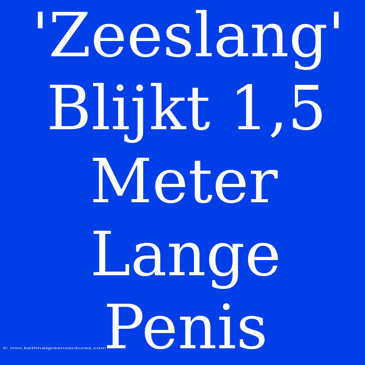 'Zeeslang' Blijkt 1,5 Meter Lange Penis