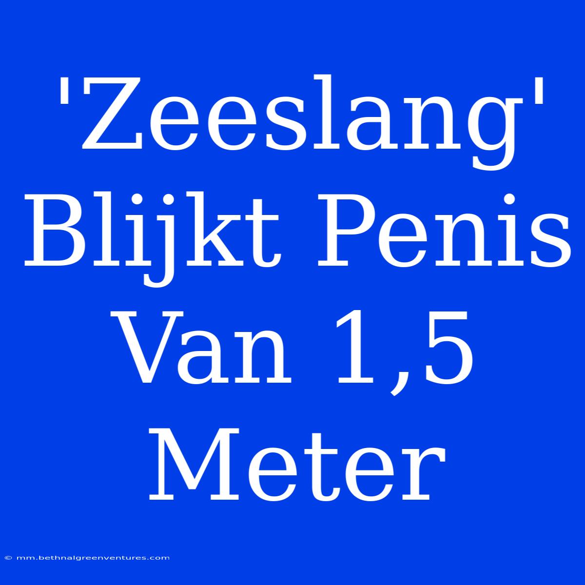 'Zeeslang' Blijkt Penis Van 1,5 Meter