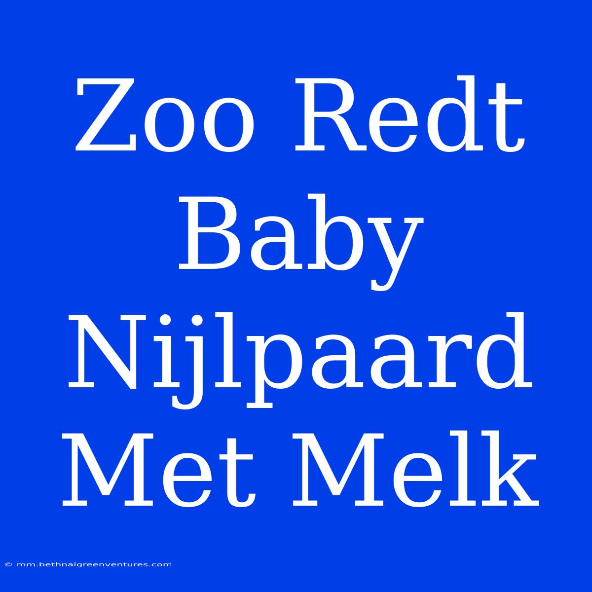 Zoo Redt Baby Nijlpaard Met Melk