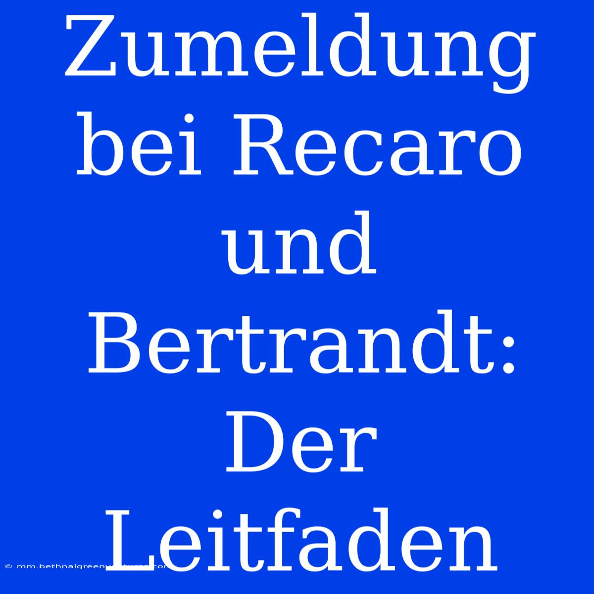 Zumeldung Bei Recaro Und Bertrandt: Der Leitfaden