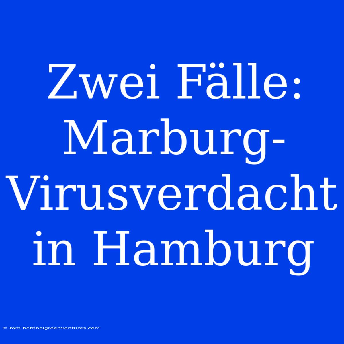 Zwei Fälle: Marburg-Virusverdacht In Hamburg